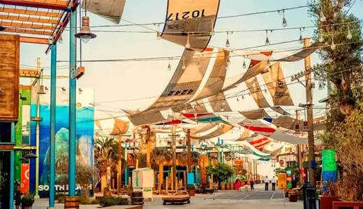 A Canvas of Street Art and Colors A Canvas of Street Art and Colors