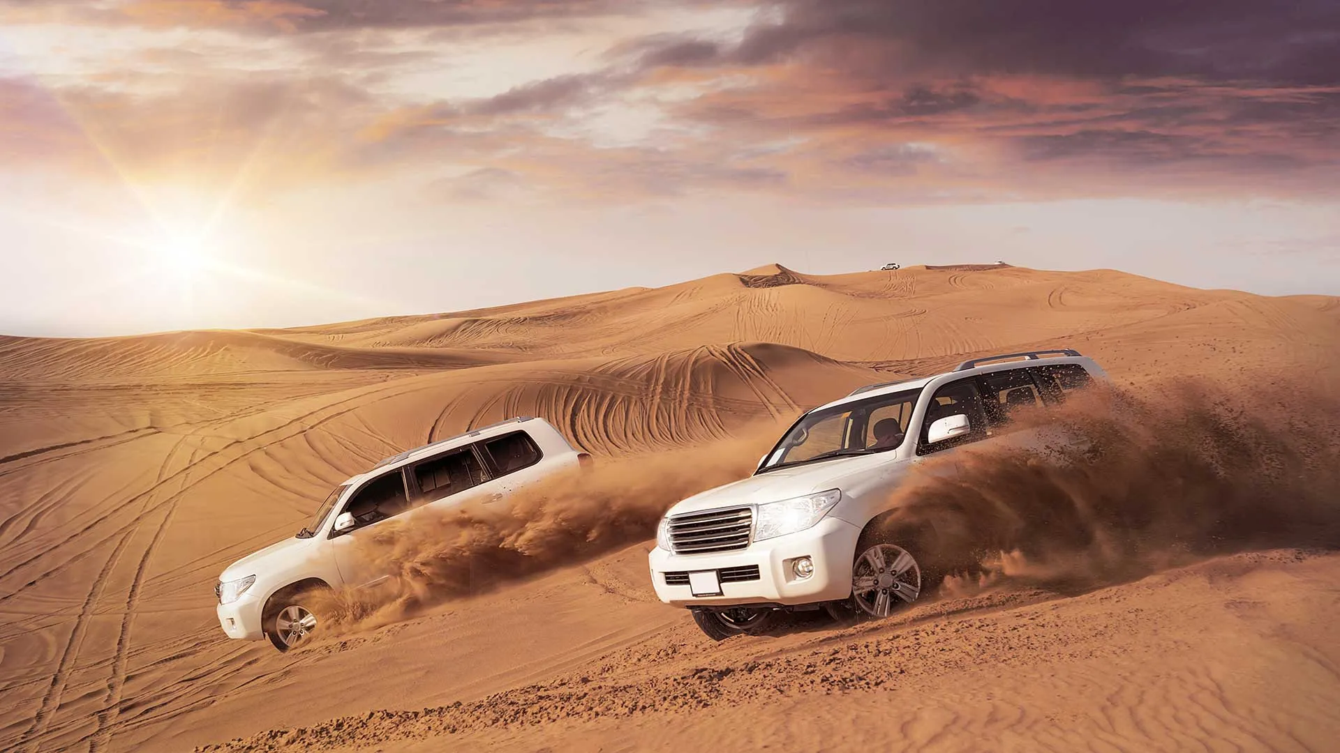 Abu Dhabi Desert Safari