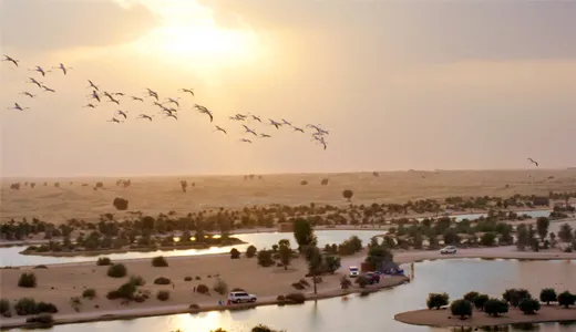 Al Qudra Lakes Al Qudra Lakes