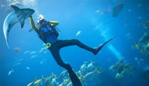 Best Spots for Night Diving in Dubai Best Spots for Night Diving in Dubai