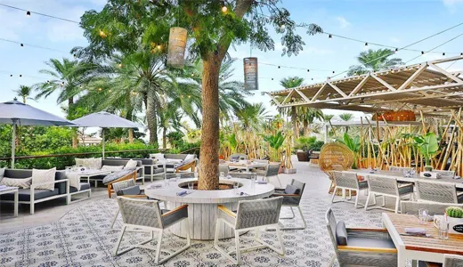 Bounty Beets Bounty Beets