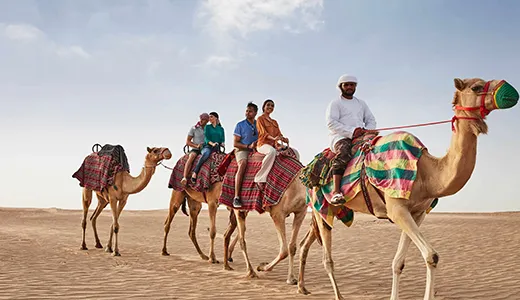 Camel Rides Camel Rides