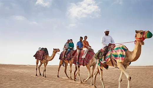 Camel Riding