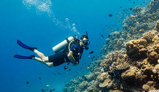 Deep Diving Deep Diving