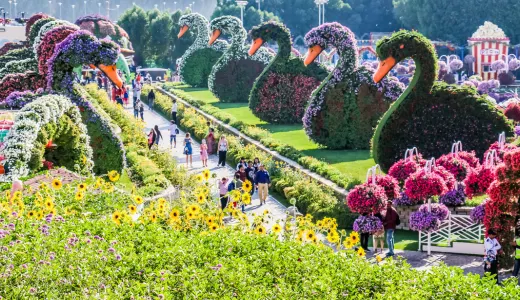 Dubai Butterfly Garden: A Colorful Living Wonderland Dubai Butterfly Garden: A Colorful Living Wonderland