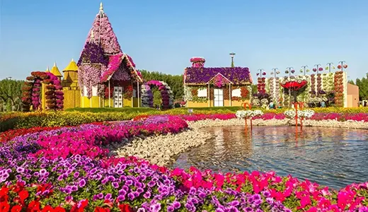 Step Into the Dubai Miracle Garden Step Into the Dubai Miracle Garden