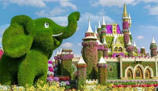 Dubai Miracle Garden: A Floral Fantasy Like No Other Dubai Miracle Garden: A Floral Fantasy Like No Other