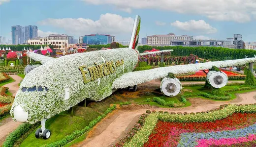 Dubai Miracle Garden: A Floral Wonderland Dubai Miracle Garden: A Floral Wonderland