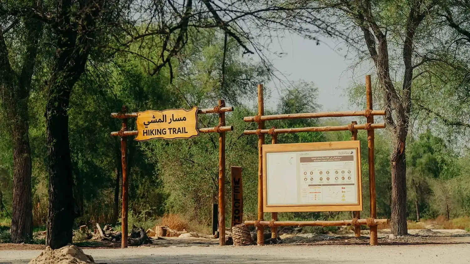 Nature Walks at Mushrif Park