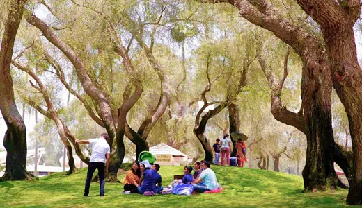 Explore Dubai’s Natural Beauty Explore Dubai’s Natural Beauty