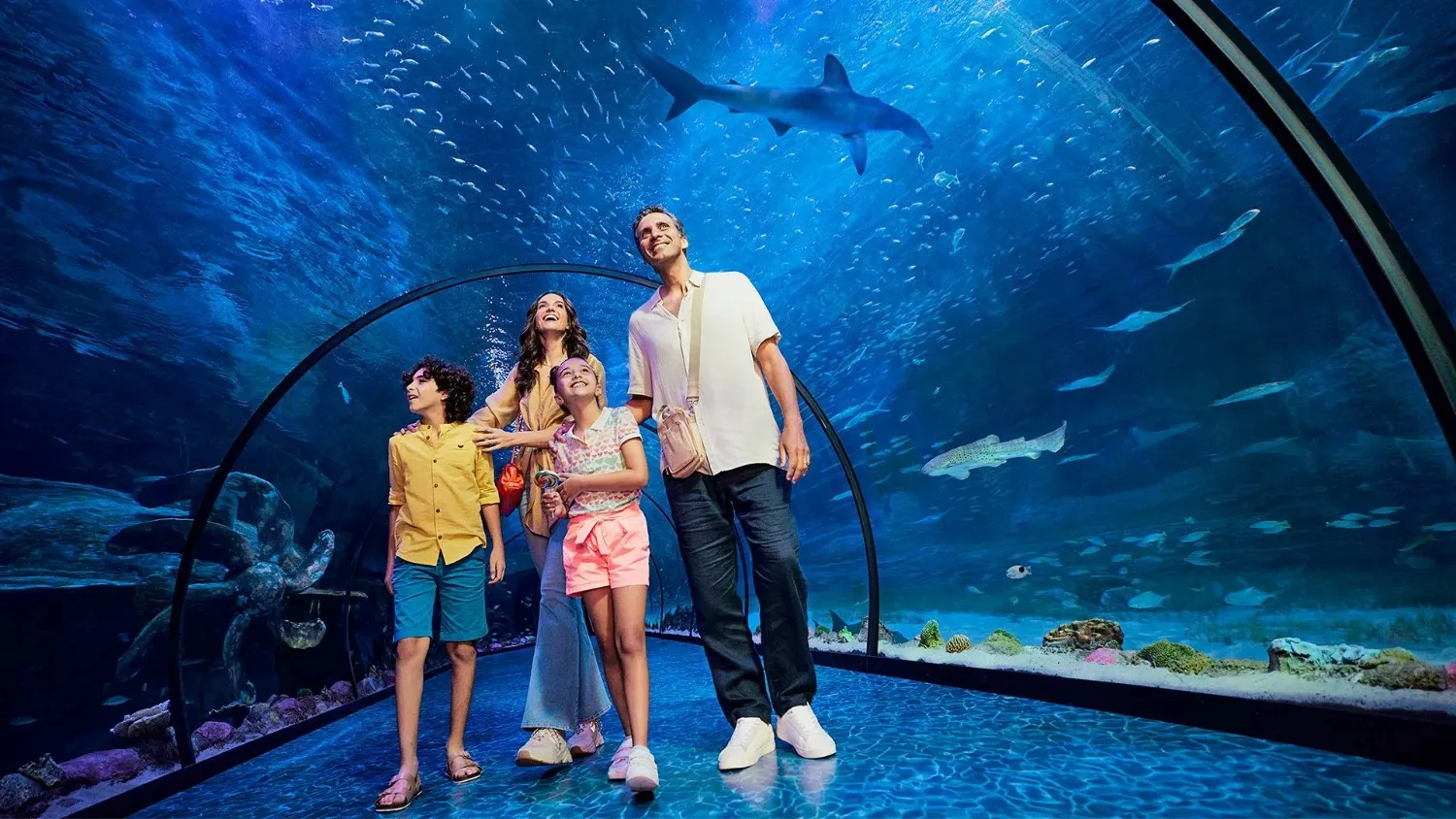 Top 10 Family Activities to Do in Dubai