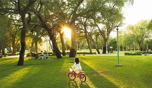 Family-Friendly Activities Family-Friendly Activities