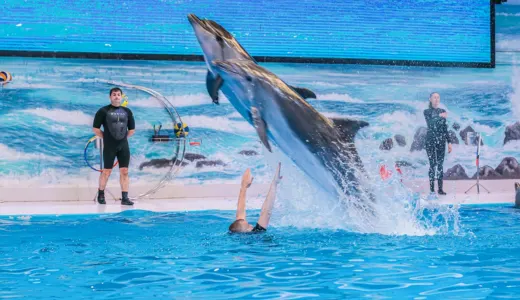 Family Fun That’s Safe, Fun, and Educational Family Fun That’s Safe, Fun, and Educational