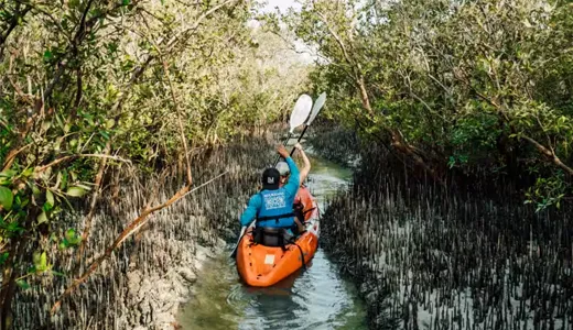 Kayak Dubai Mangroves Tour Kayak Dubai Mangroves Tour