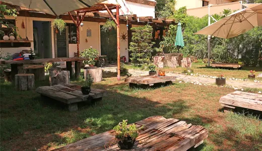 Life’n One Life’n One