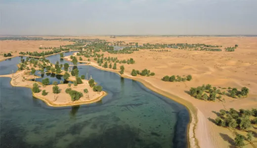 Limited Dubai – Al Qudra Lake Road Limited Dubai – Al Qudra Lake Road