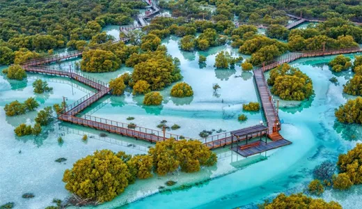 Mangrove National Park Mangrove National Park