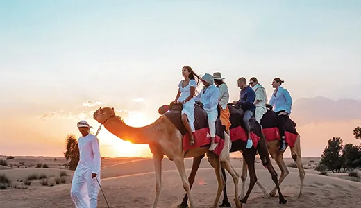 Morning Desert Safari