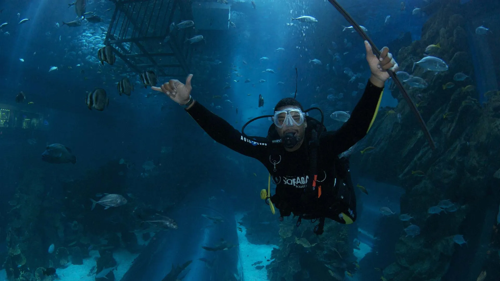 Night Diving in Dubai