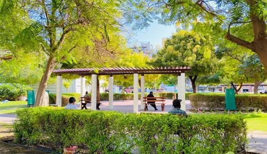 Relax in Nature Relax in Nature