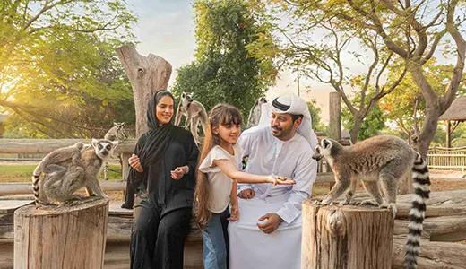 Safari Park Visit Safari Park Visit