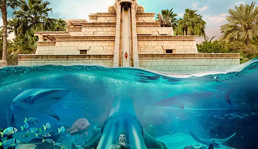 Snorkeling with Marine Life Snorkeling with Marine Life