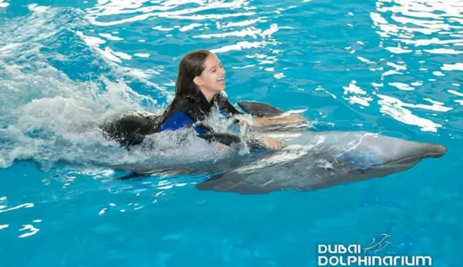 Swim with Dolphins: Shallow & Deep Encounters Swim with Dolphins: Shallow & Deep Encounters