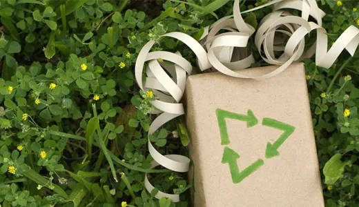 The Green Ecostore The Green Ecostore