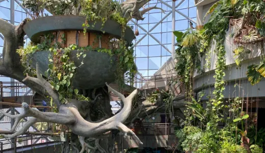 The Green Planet: A Tropical Rainforest in the City The Green Planet: A Tropical Rainforest in the City