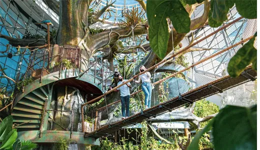 The Green Planet The Green Planet