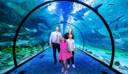 The National Aquarium Abu Dhabi: Dive into the Deep The National Aquarium Abu Dhabi: Dive into the Deep