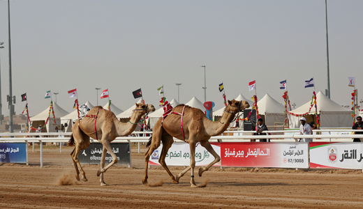 The Racing Season and Key Events