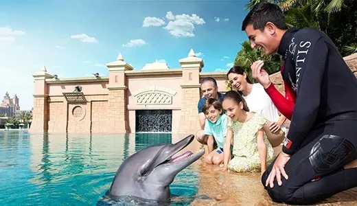 Visit the Dubai Dolphinarium Visit the Dubai Dolphinarium
