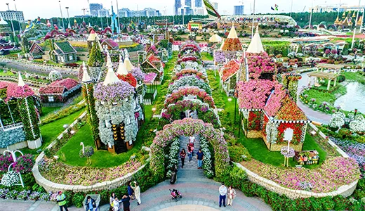 Visitor Tips and Information Visitor Tips and Information