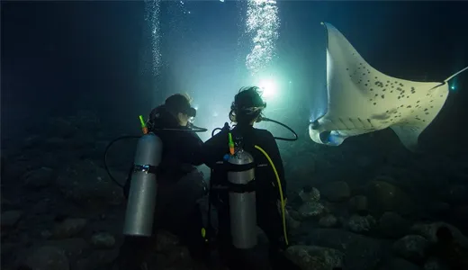 What to Expect on Your Night Diving Adventure What to Expect on Your Night Diving Adventure