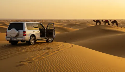 Why Choose Get Your Guide Dubai Why Choose Get Your Guide Dubai