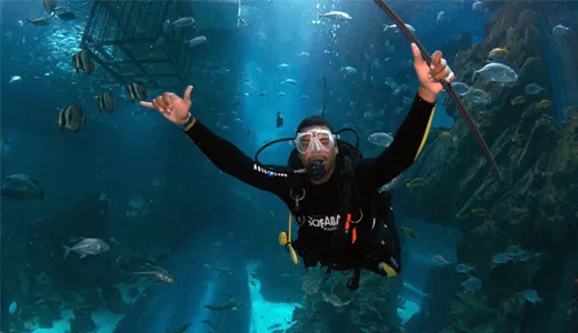 Why Choose Night Diving in Dubai? Why Choose Night Diving in Dubai?