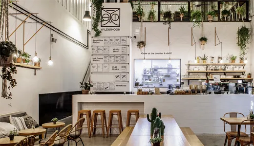 Wild & The Moon Wild & The Moon